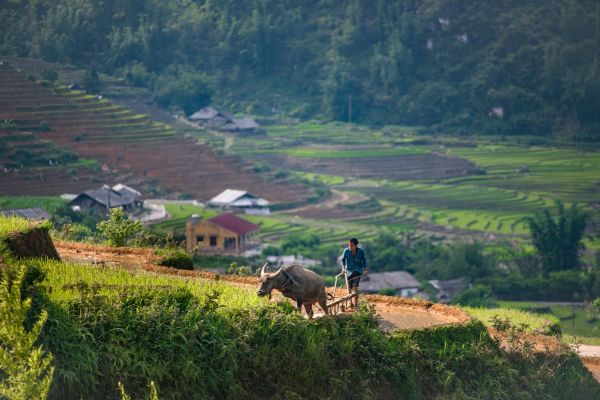 Sapa adventure 3 days by bus